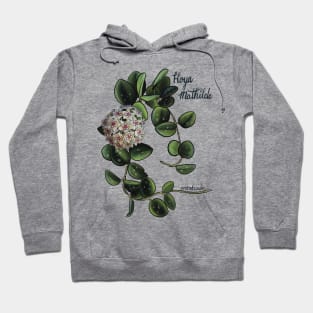 Hoya mathilde in bloom Hoodie